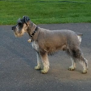 Meet your Posher, Peggy